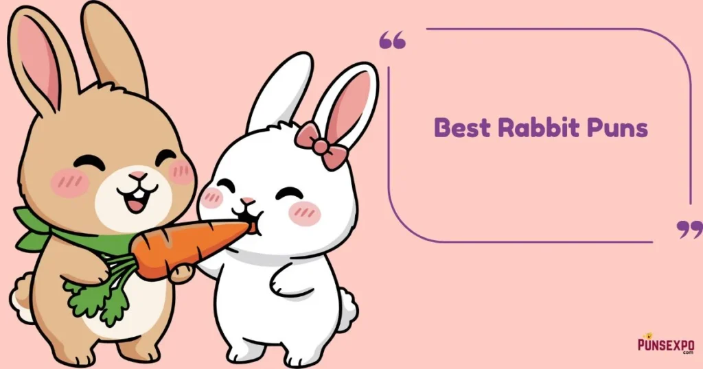 Best Rabbit Puns