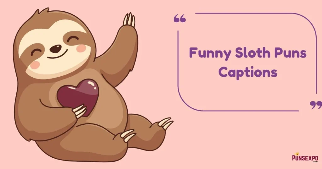 Funny Sloth Puns Captions