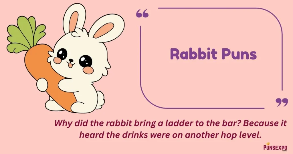 Rabbit Puns
