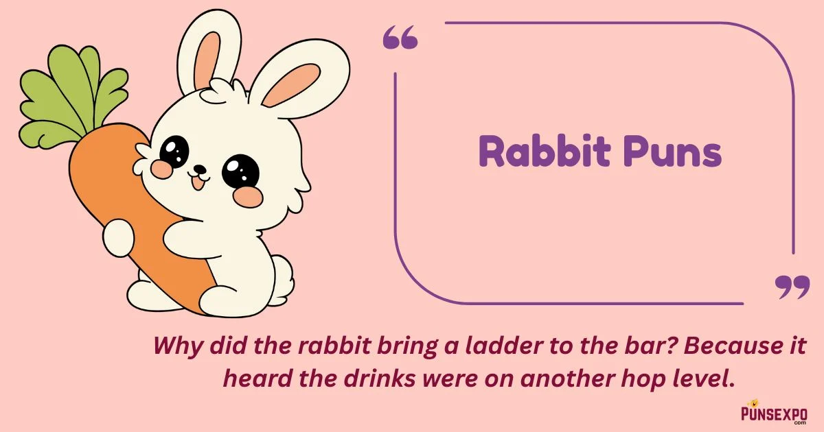 Rabbit Puns