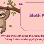 Sloth Puns