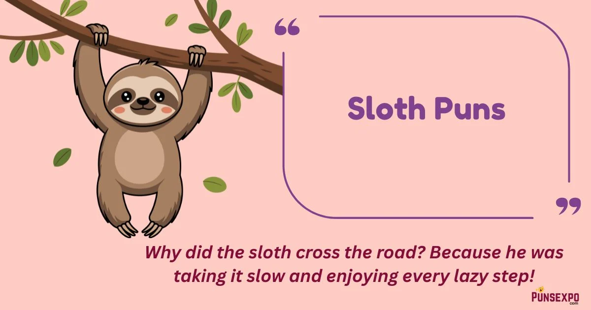 Sloth Puns