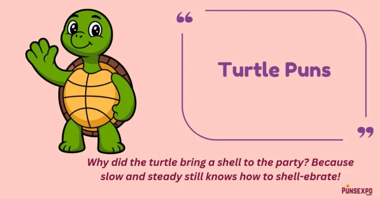 Turtle Puns