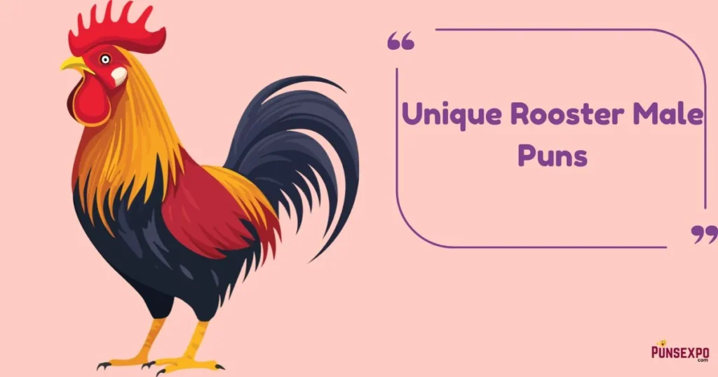 Unique Rooster Male Puns
