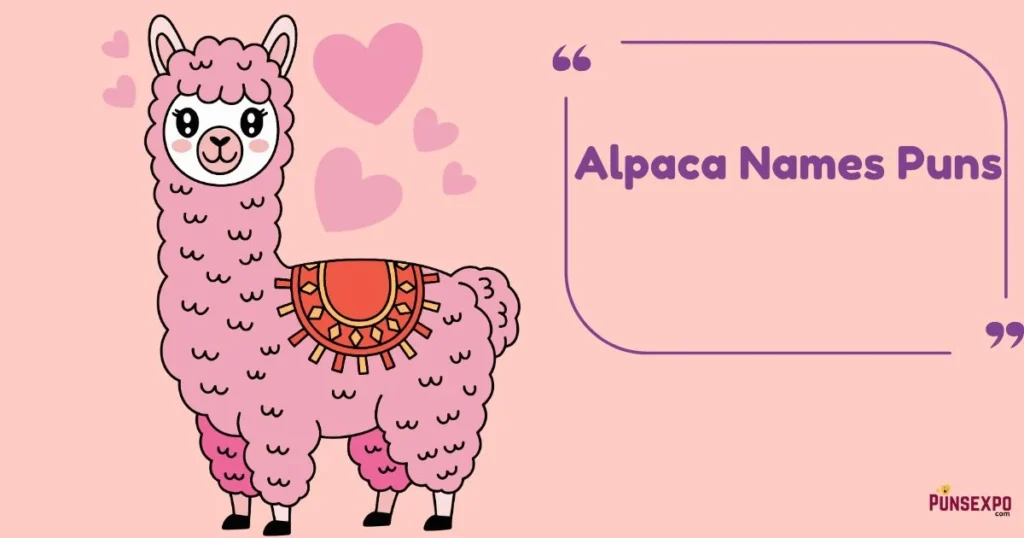 Alpaca Names Puns