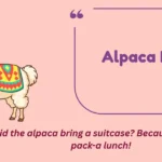 Alpaca Puns