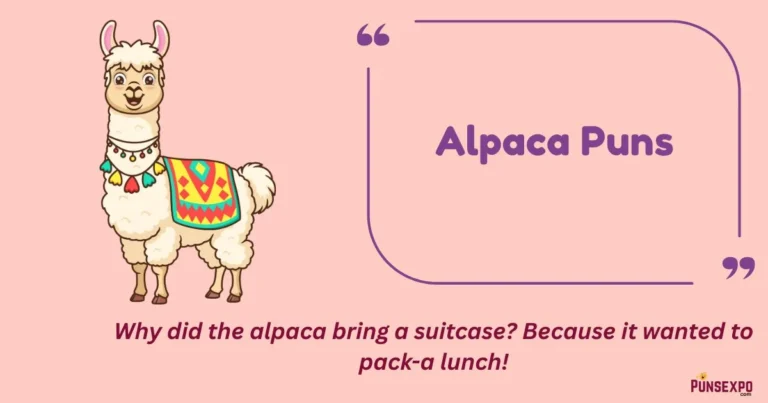 Alpaca Puns