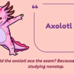 Axolotl Puns