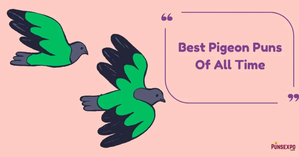 Best Pigeon Puns Of All Time