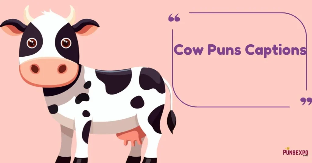 Cow Puns Captions