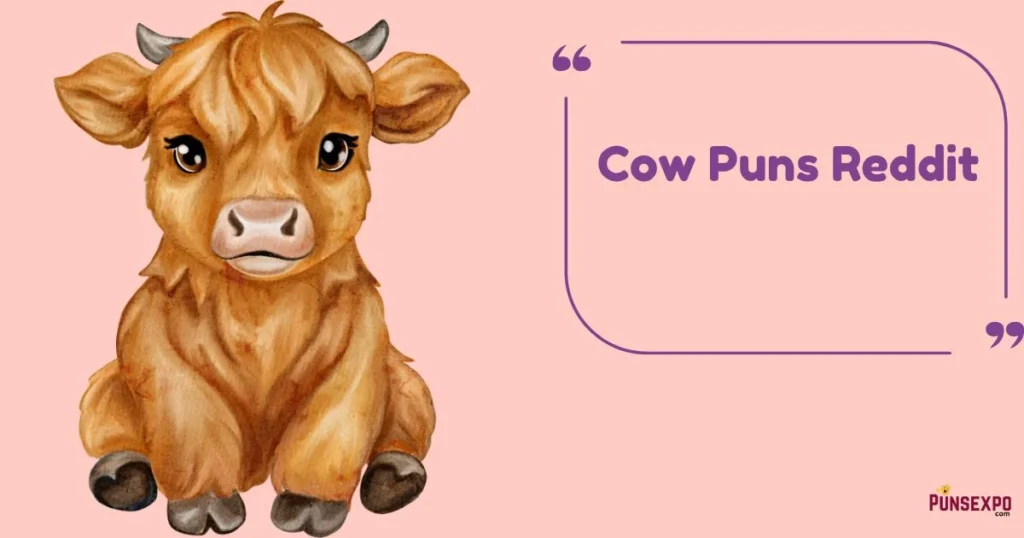 Cow Puns Reddit