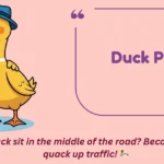 Duck Puns