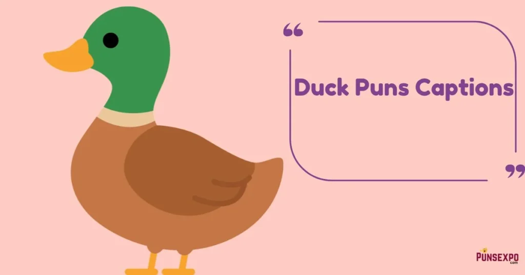 Duck Puns Captions