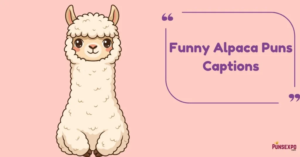 Funny Alpaca Puns Captions