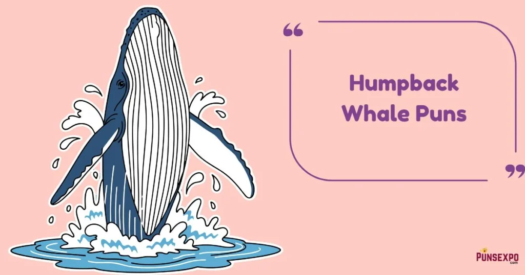 Humpback Whale Puns