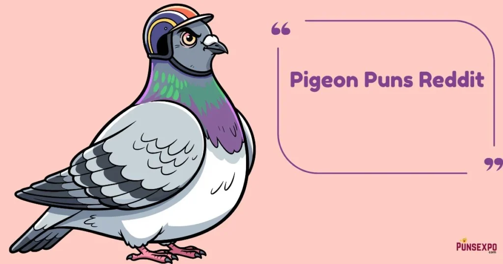 Pigeon Puns Reddit