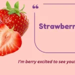 Strawberry Puns