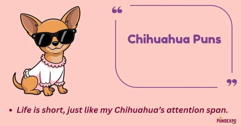 Chihuahua Puns