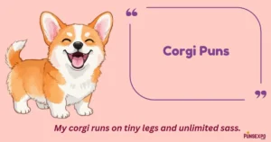 Corgi Puns