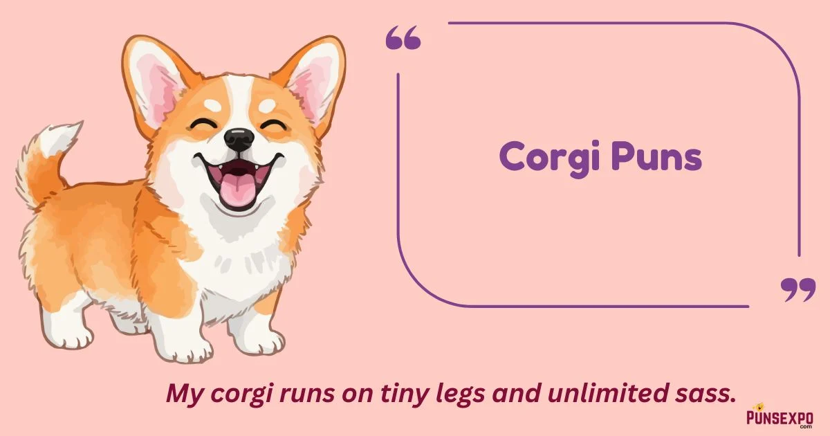 Corgi Puns