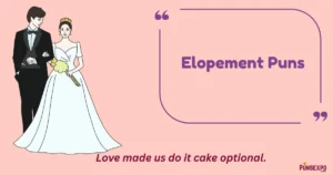 Elopement Puns