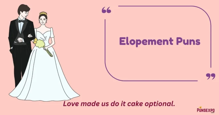 Elopement Puns