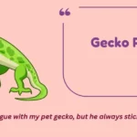 Gecko Puns