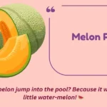 Melon Puns