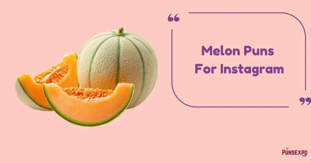 Melon Puns For Instagram