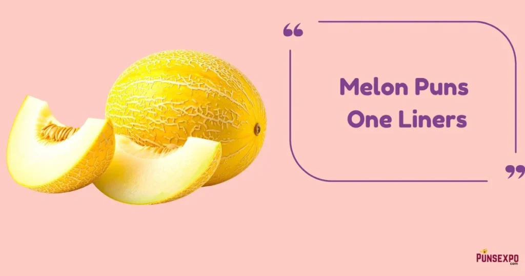 Melon Puns One Liners