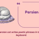 Persian Puns