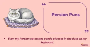 Persian Puns