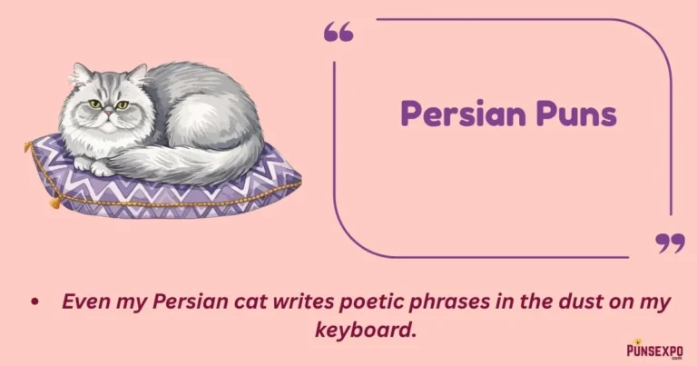 Persian Puns