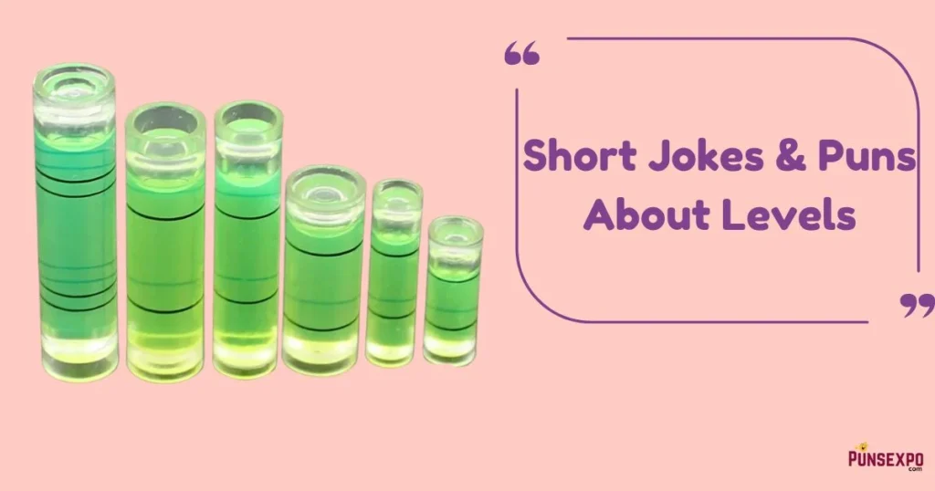 Short Jokes And Puns About Levels