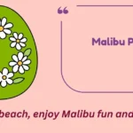 Malibu Puns