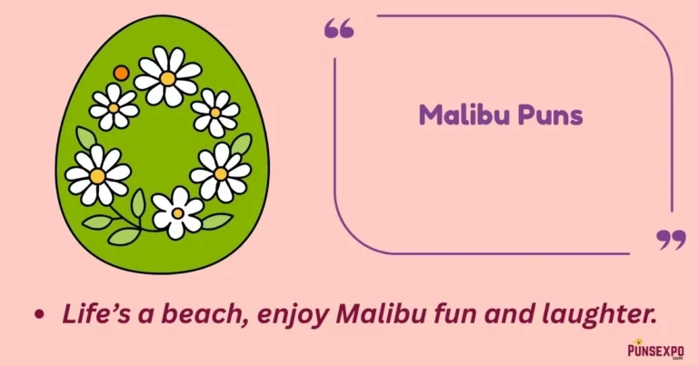 Malibu Puns