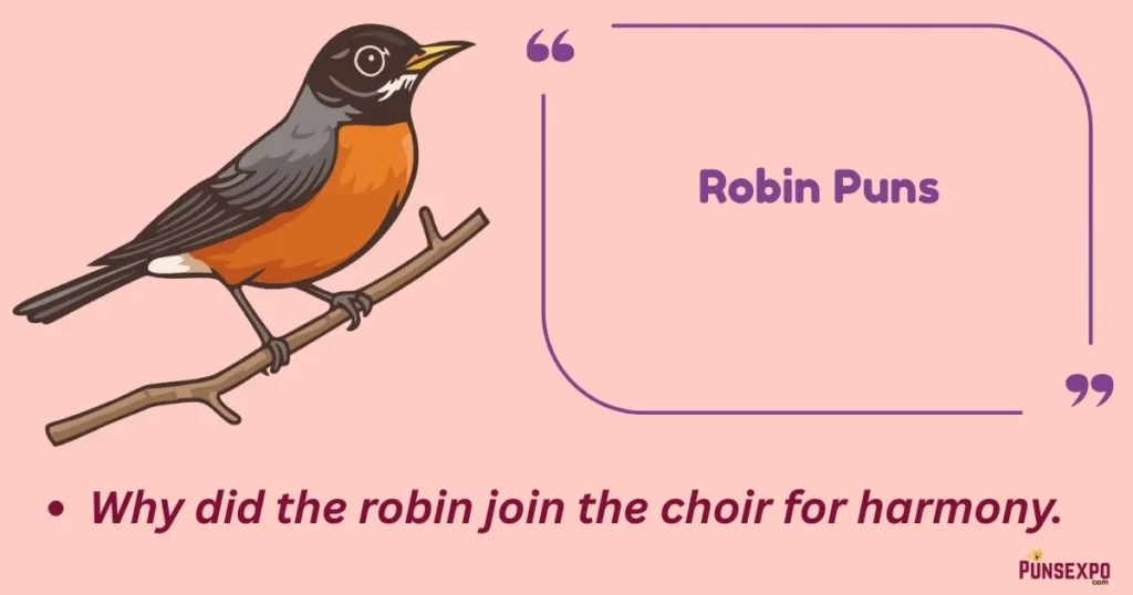 Robin Puns
