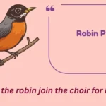 Robin Puns