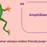 Amphibian Puns