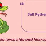 Ball Python Puns