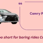 Camry Puns