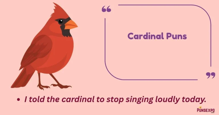 Cardinal Puns