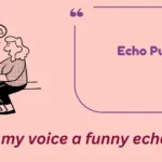 Echo Puns