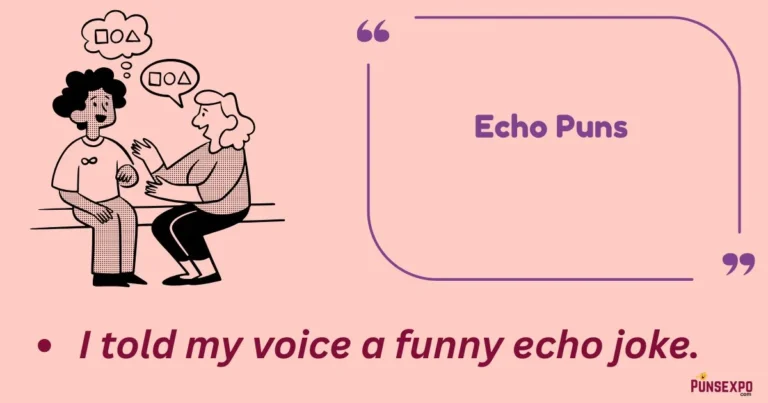 Echo Puns