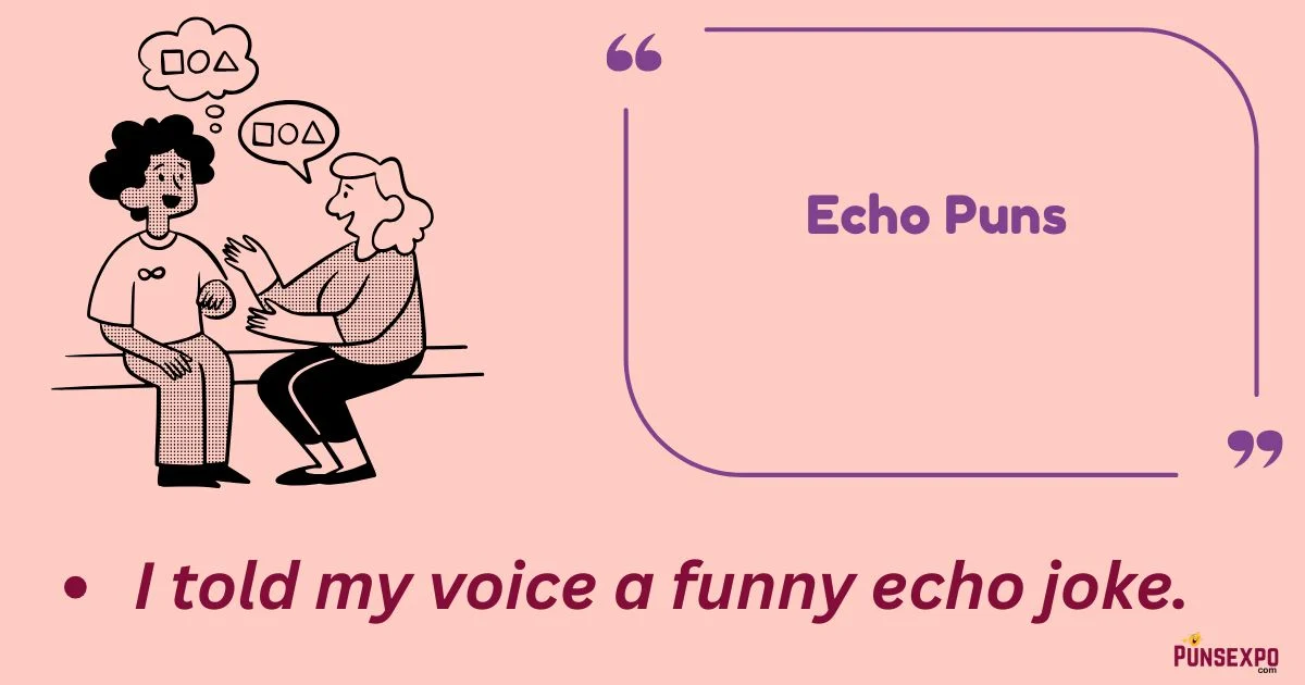 Echo Puns