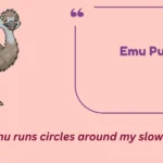 Emu Puns