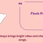 Finch Puns