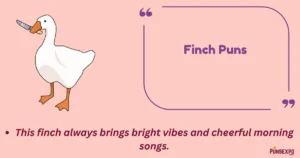 Finch Puns