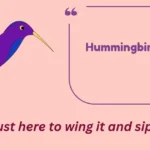 Hummingbird Puns