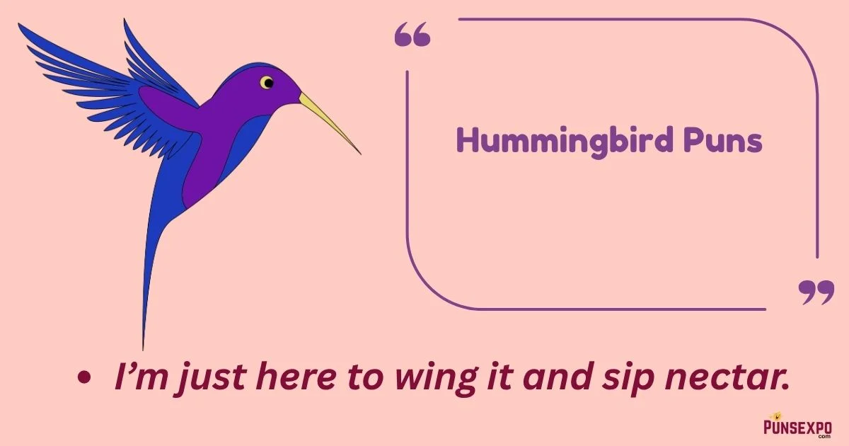 Hummingbird Puns